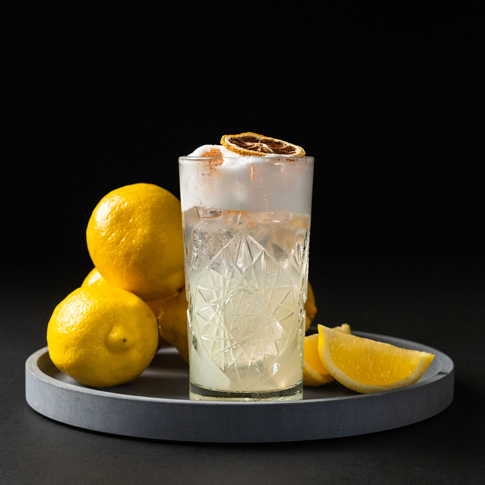 Gin Fizz cocktail til arrangementer for firmaer og private
